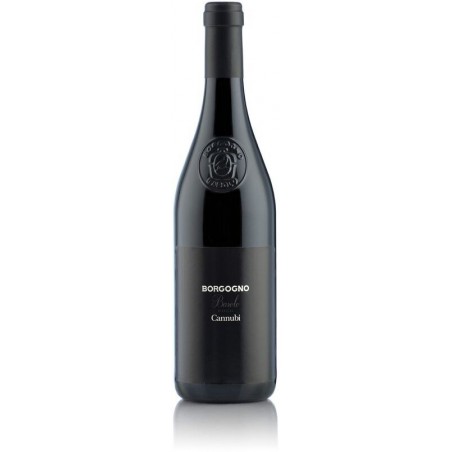 Borgogno Barolo Cannubi 2008 0,75 l